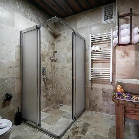Hotel Serene Premium Stone House 2*