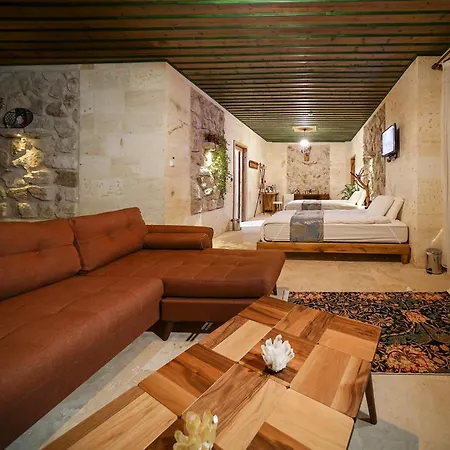 Serene Premium Stone House