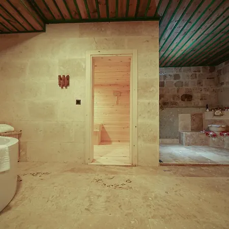 Hotel Serene Premium Stone House 2*