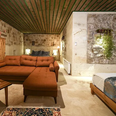 Hotel Serene Premium Stone House