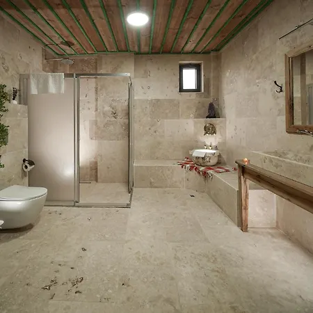 Hotel Serene Premium Stone House 2*
