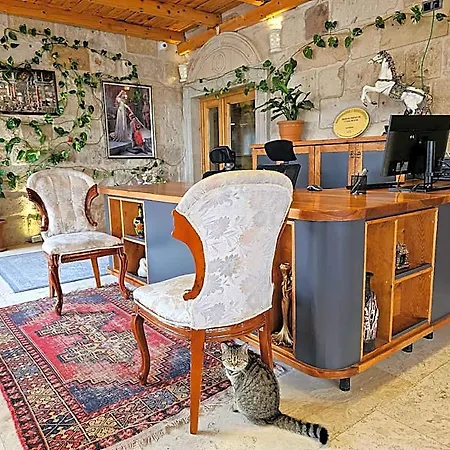 Serene Premium Stone House Невшехир