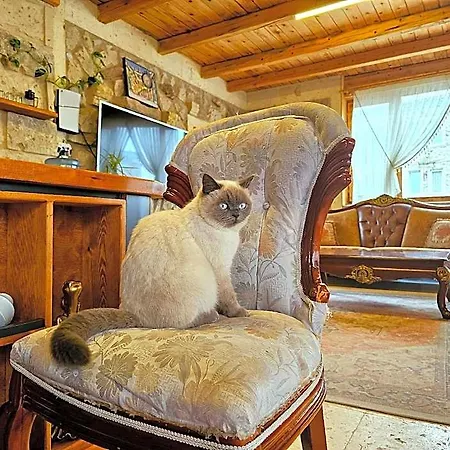 Serene Premium Stone House 2*