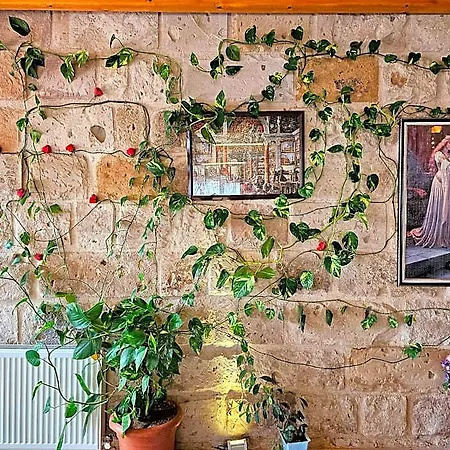 Отель Serene Premium Stone House