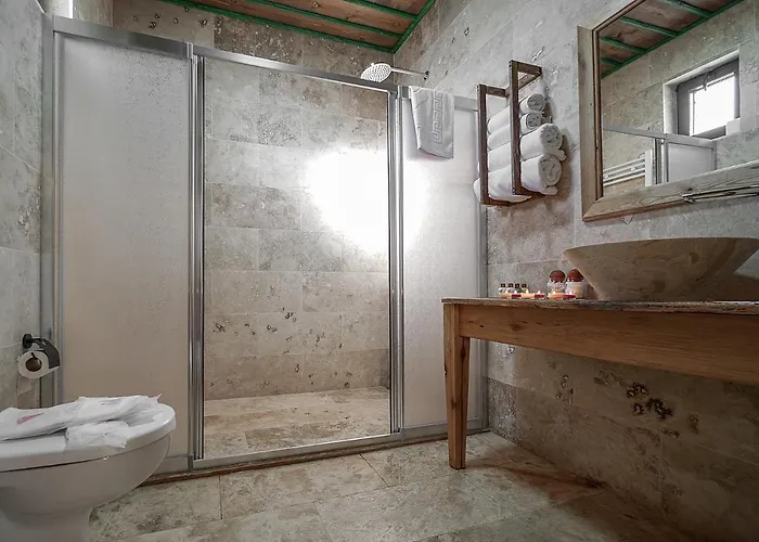 Serene Premium Stone House