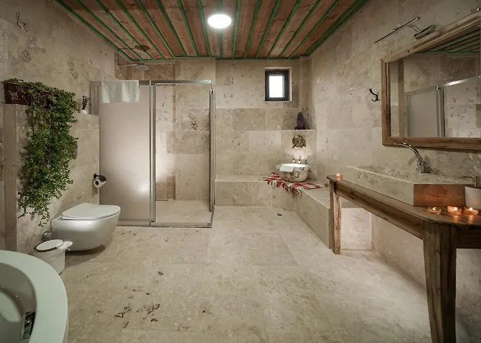 Hotel Serene Premium Stone House 2*