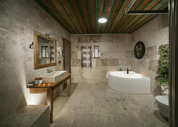 Serene Premium Stone House 2* نفسهير